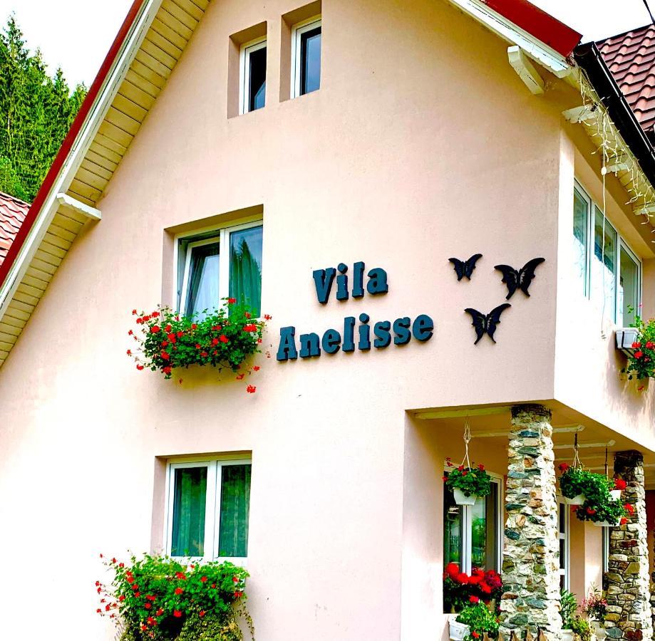 Anelisse Inn Моечиу-де-Сус Экстерьер фото