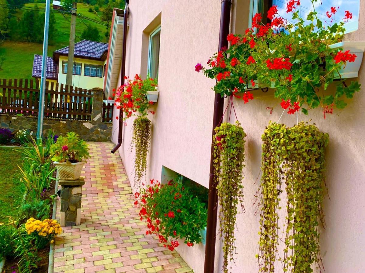 Anelisse Inn Моечиу-де-Сус Экстерьер фото